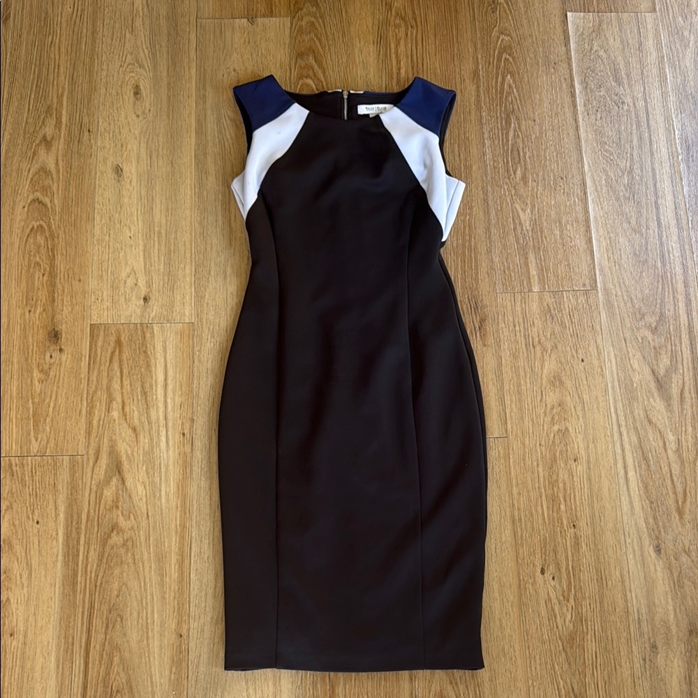 White House Black Market Black, Blue, and White Sheath Dress